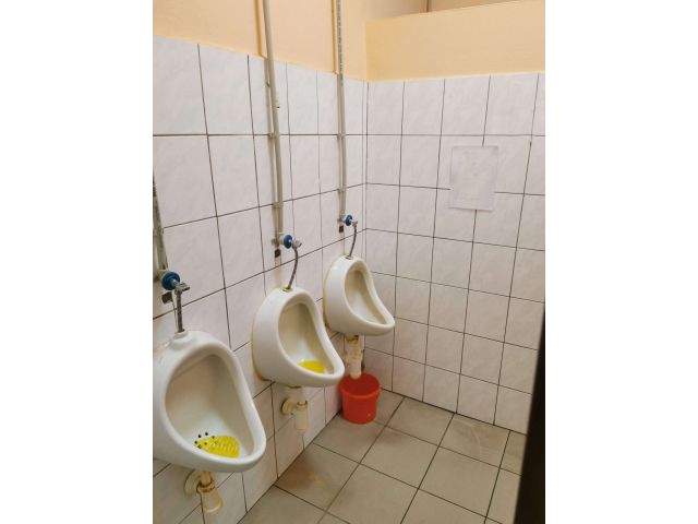 Obrázek k zakázce č.: 688396