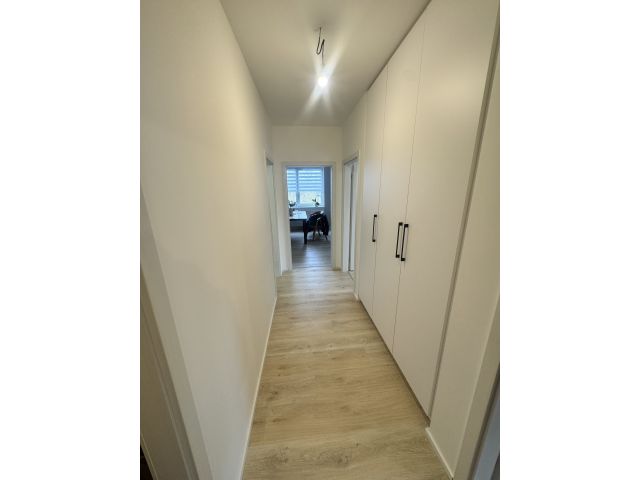 Obrázek k zakázce č.: 729801