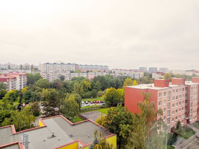 Obrázek k zakázce č.: 727411